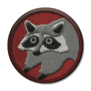 Camp Pinetop: Raccoon
